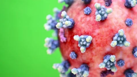 Pan view of a coronavirus turning close up on a green background Stock Footage 172986995