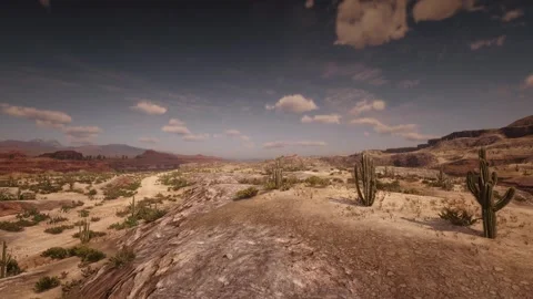 Pan view of desert cactus Stock Footage 266075971