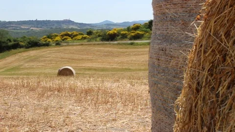 Pan view from a field full of grain bales Stock Footage 76594059