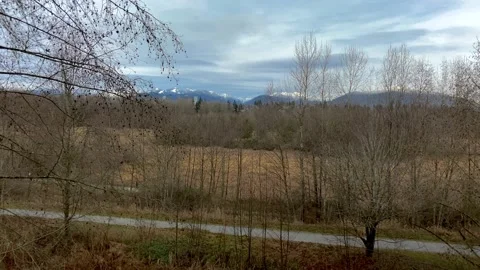 Pan View on a Forest and Mountains in a Park Stock Footage 147896131