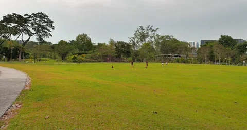 Pan View of Green Fields in Garden and Play Stock Footage 158492612