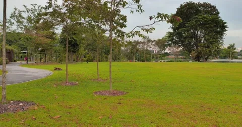 Pan View of Green Fields in Garden Stock Footage 158492641