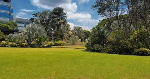 Pan View of Green Garden Stock Footage 159083650