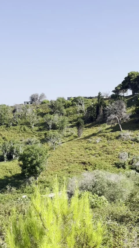 Pan View of Green Hills, Ocean Horizon and Ruins on Sazan Island, Albania Видео 343391679