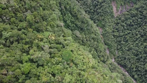 Pan up to view of huge waterfall at end of green jungle canyon Vídeo Stock 205469802
