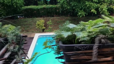 Pan view of from left to right of decorative green potted balcony plants with Stock Footage 318278460