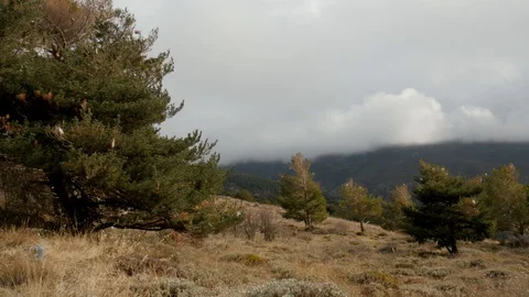 Pan view on mountains, pine trees, dramatic nice cloudy sky. Stock Footage 121212964