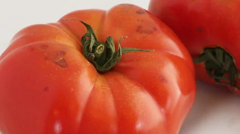 Pan view over a bad tomato Stock Footage 49270251