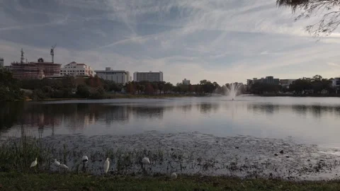 Pan View over Mirror Lake in St. Petersburg, Florida Birds foreground Stock Footage 260985369