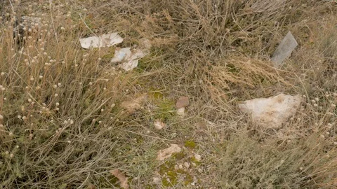 Pan view of plastic garbage thrown in the nature. Stock Footage 121308776