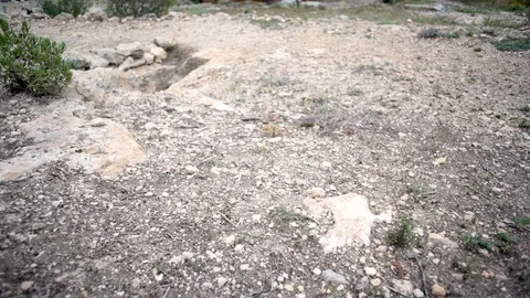 Pan view on punic Phoenicians tomb Video stock 83046642