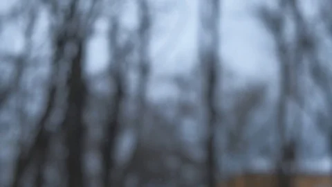 Pan view on snow flakes flying into camera with blurred trees in background Stock Footage 101472938