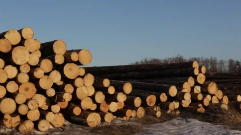 Pan view on the timber in the storage. 2013 Stock Footage 49109827