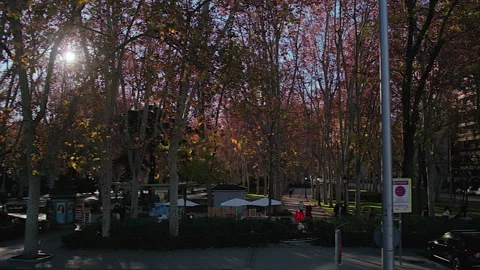 Pan view of the Tree-lined Paseo del Prado boulevard, Madrid, Spain Video stock 302443550