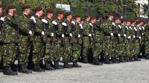 Pan view on troops Stock Footage 41864444