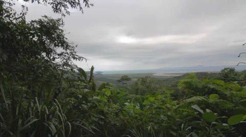 Pan at a viewpoint in daintree forest Vidéo 37087412