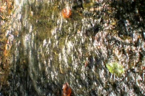 Pan to water falling Stock Footage 87270