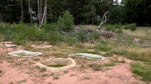 Pan: Water-filled stone basins in the midst of a heathland, former drill ground Stock Footage 79832055