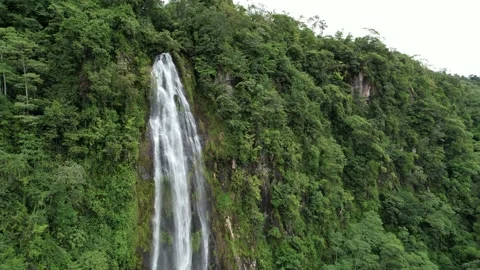 Pan up Waterfall and hold part one Stock Footage 218391632