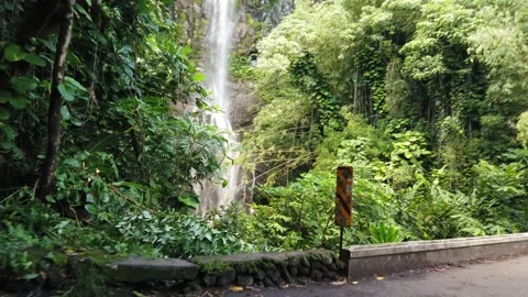 Pan Up Of Waterfall in Lush Forrest Stock Footage 150468826