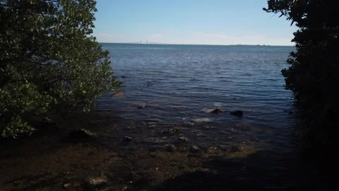 Pan Up Wide View from Katherine B. Tippetts Park in St. Petersburg, Florida towa Stock Footage 265718796