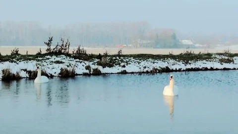  Pan to the windmill in the winter Video stock 85394584