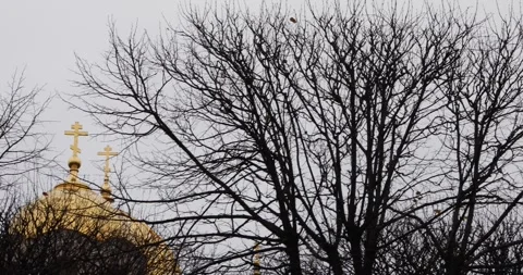 Pan from winter branches to Riga’s golden cathedral domes and crosses. Stock Footage 320170522