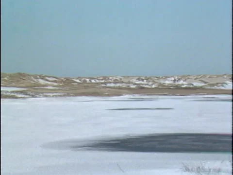 Pan winter dune landscape, vegetated tidal inlet Slufter, Texel 1982 Stock Footage 168075063
