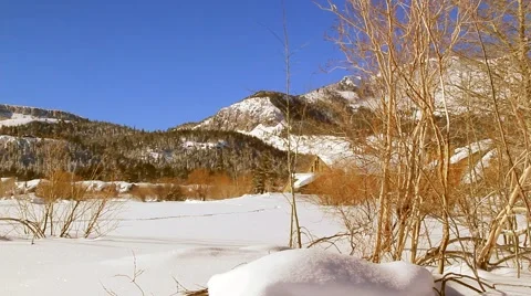 PAN OF WINTER LANDS Stock Footage 1012713