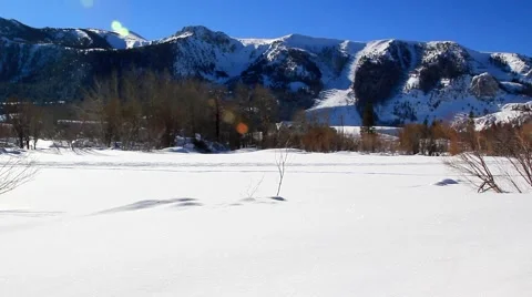 PAN OF WINTER LANDSCAPE Stock Footage 1012029