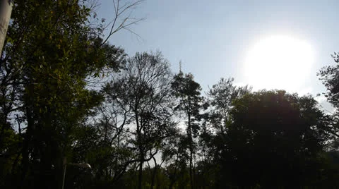 Pan woods to house Stock Footage 27140548