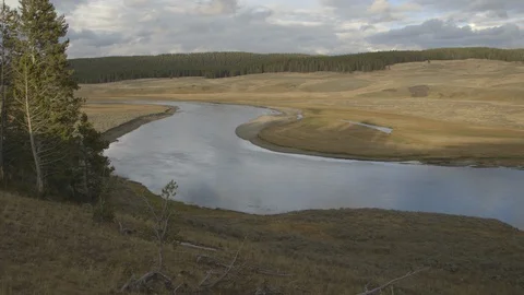 Pan Yellowstone River Distant Trees on Hillside Stock Footage 122224145