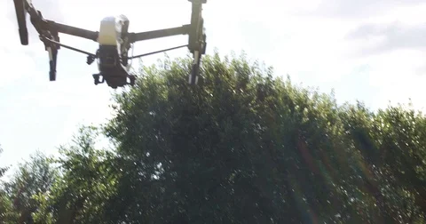 Pan from young couple to drone in the park. 스톡 동영상 80310476