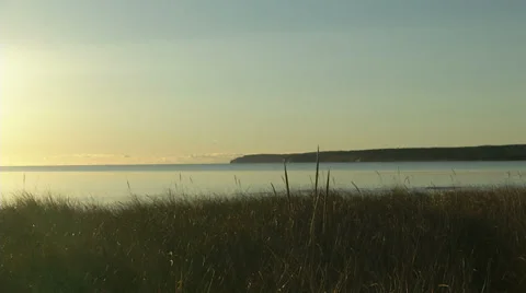Pan_sunrise_seals Stock Footage 32271396