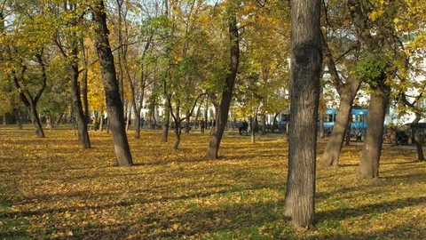 PANA6573 Stock Footage 100290451