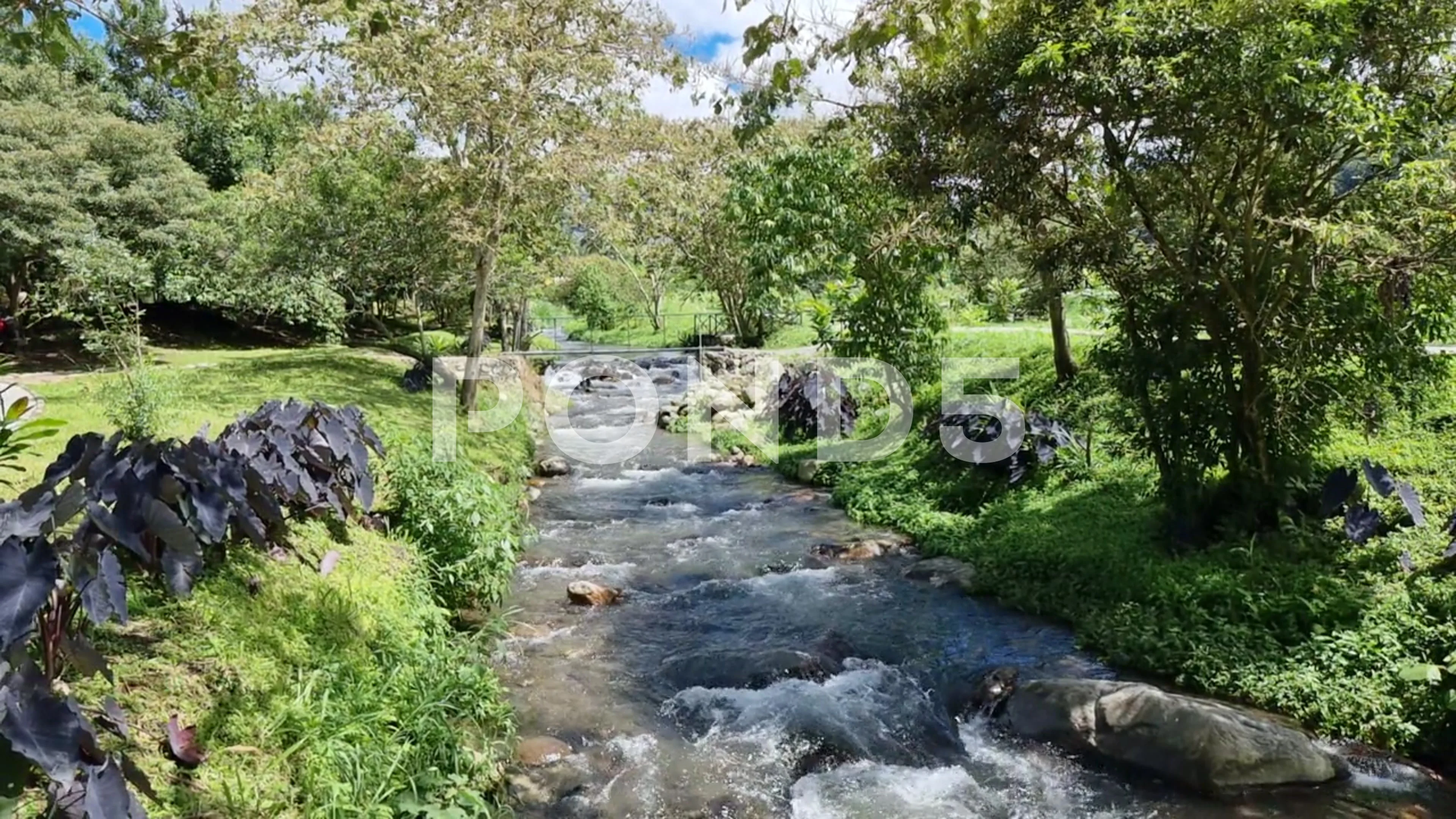 Panama, Boquete, small creek in central park