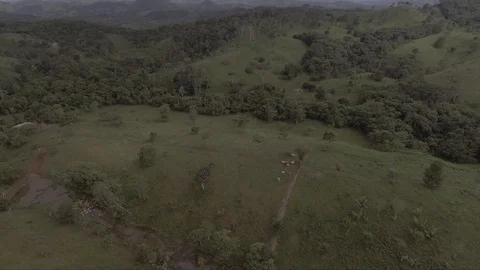PANAMA - CAPIRA - MOUNTAINS Stock Footage 89006206