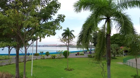 Panama Cinta Costera Stock Footage 243687062