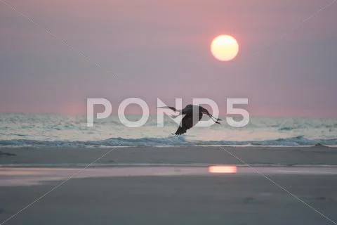 Panama city florida Stock Photos