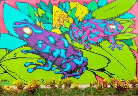 Panama David, mural representing two spotted frogs Stock Illustration