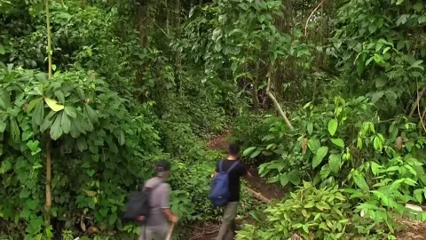Panama estimates a 38% drop in Darién crossings to 320,000 in 2024, Panama City, Stock-Footage 283695201