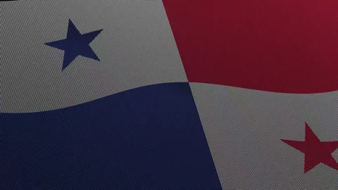 Panama Flag Digital Particle Waving Seamless Loop Animation on Black Backgrou Stock Footage 339303260