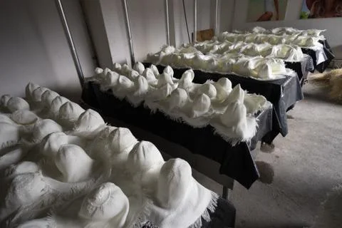Panama hats drying after the bleaching process Stock Photos