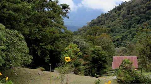 Panama Mountains with Shack Stock Footage 9276948