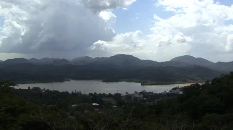 Panama Rainforest Stock Footage 45947645