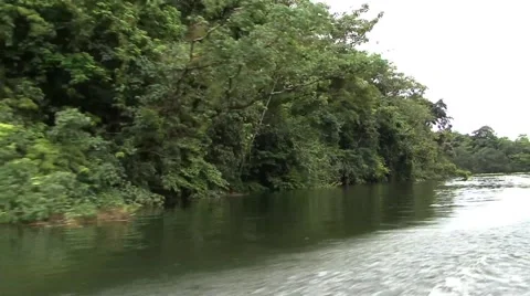 Panama River Cruising 스톡 동영상 52366265