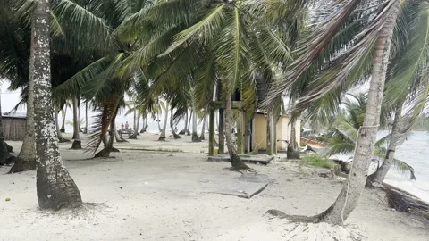 Panamá - San Blas | Isla Perro Chico | Dog Island | Paradise Tropical Tour (HDR) Stock Footage 188581739