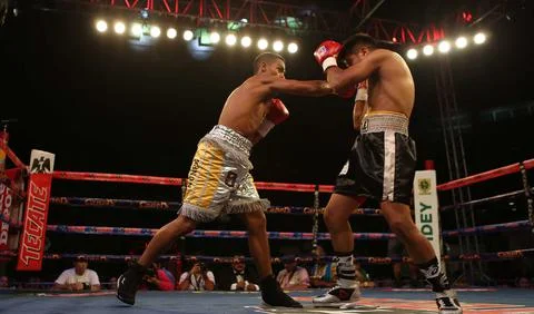 Panamanian 'Cientifico' Nunez knocks out Mexican Elvis Torres by knockout, Merid Stock Photos