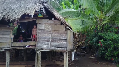 Panamanian Embera Hut Stock Footage 75682341