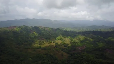 Panamanian Tropical Rainforest Stock Footage 75682012
